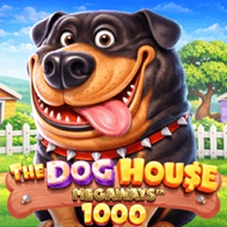 The Dog House Megaways 1000 rottweiler w obroży